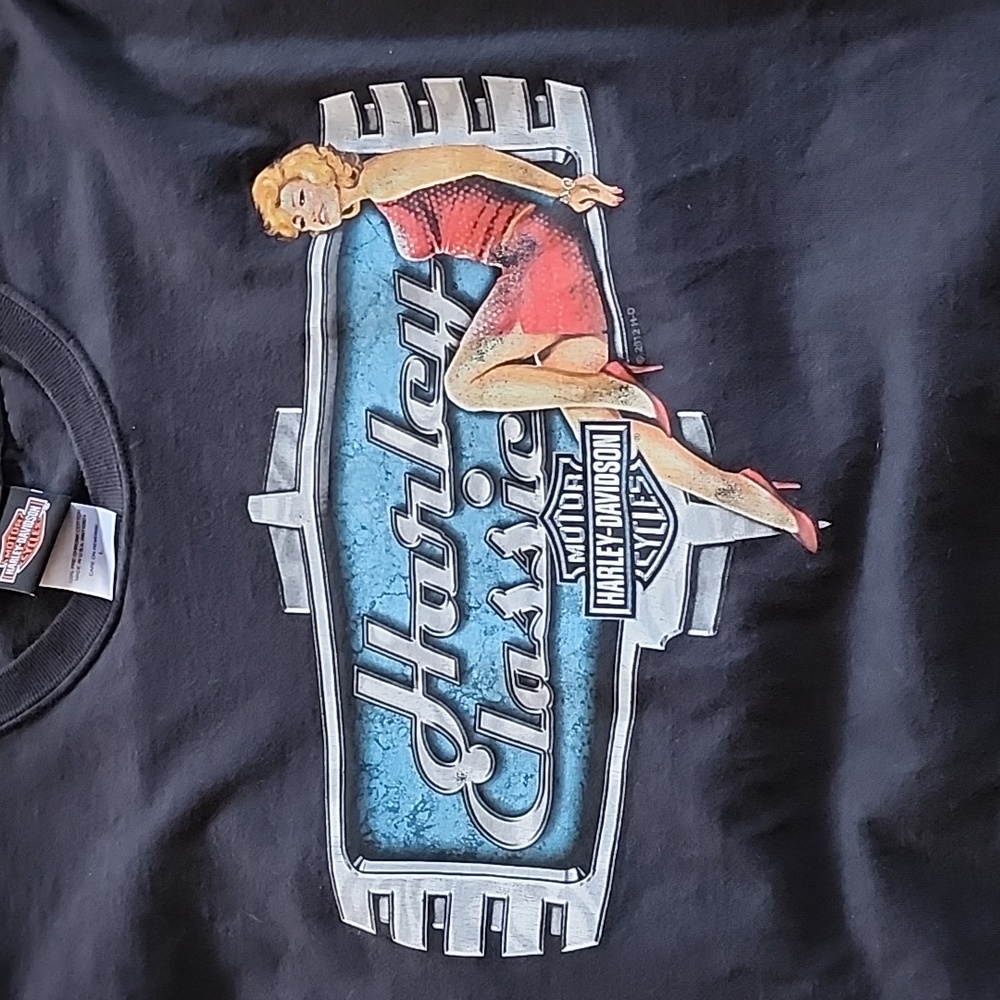 Vintage 2005  Harley-Davidson Men’s Short Sleeve Doublesided Graphic T- Shirt - Picture 4 of 5